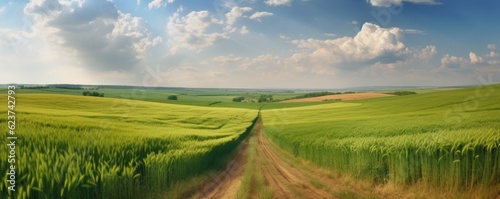 Landscape in countryside banner format with a wide field of cereals and a pasture divided by a deserted road against a blue summer sky. Ai generative.