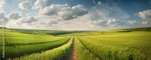 Landscape in countryside banner format with a wide field of cereals and a pasture divided by a deserted road against a blue summer sky. Ai generative.