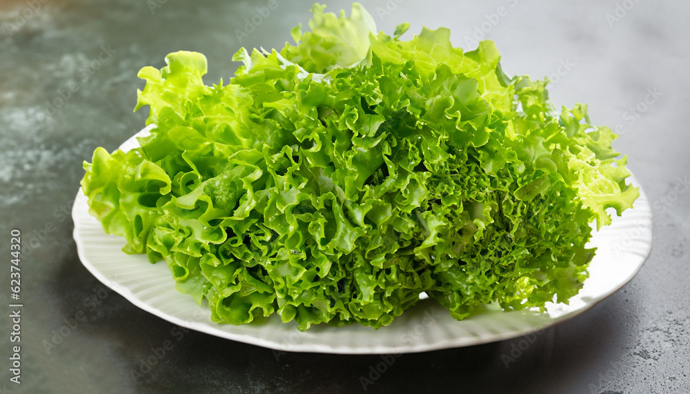 Fresh green salad. Raw diet concept. Lettuce leaves. Copy space. Fresh green salad. Raw diet concept. Lettuce leaves. Copy space.