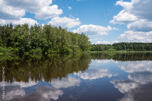 Coniferous forest reflecting on the surface of the pond