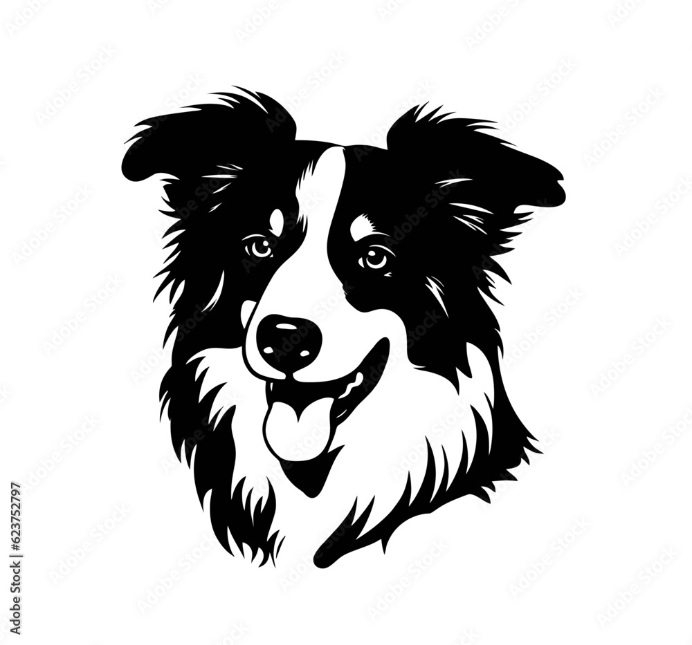 Vector isolated one single sitting Border Collie dog head front view black and white bw two colors silhouette. Template for laser engraving or stencil, print for t shirt Vector isolated one single sitting Border Collie dog head front view black and white bw two colors silhouette. Template for laser engraving or stencil, print for t shirt