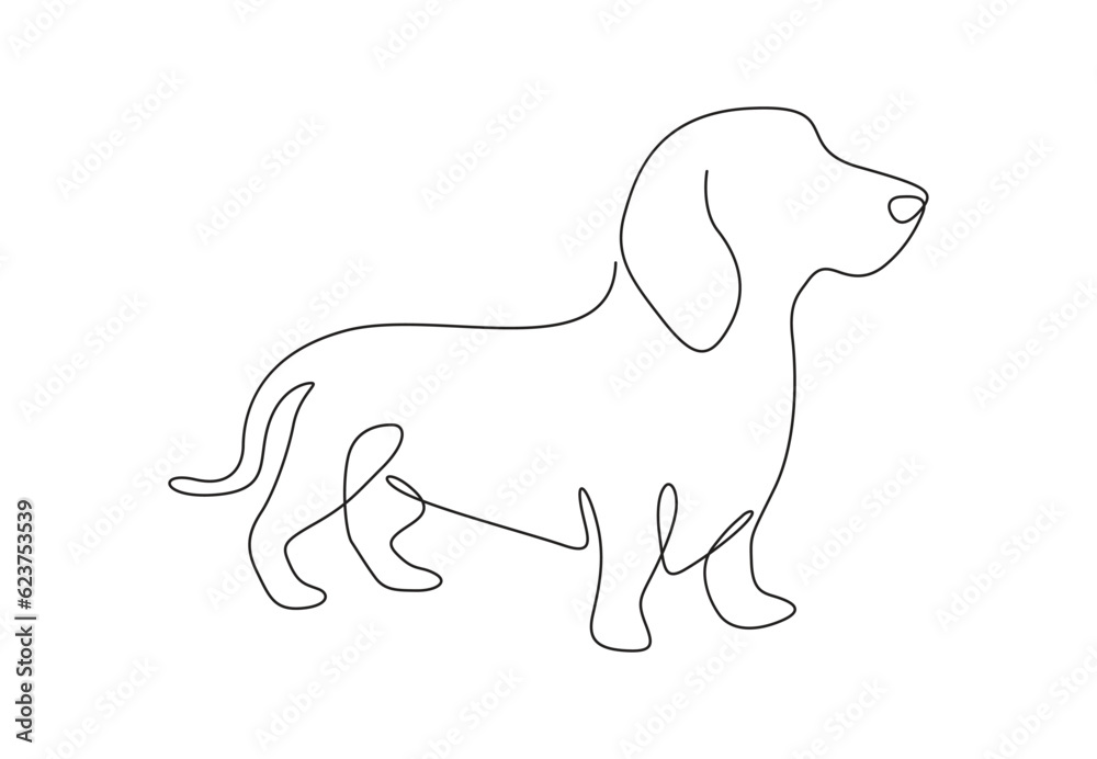 Continuous one line art of dachshund dog vector illustration. Premium vector.