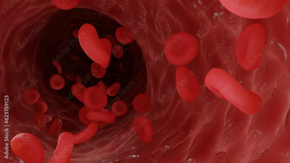 3d blood cells flowing through vein