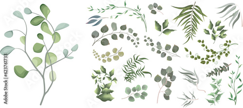 Print. Vector illustrationMix of herbs and plants vector big collection. Juicy eucalyptus, green plants and leaves. All elements are isolated . Vector illustration