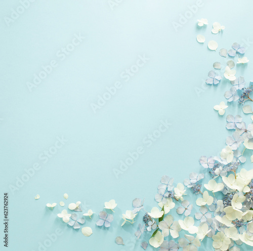 blue and white  hydrangea flowers on blue background © Maya Kruchancova