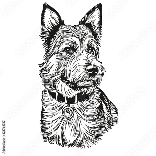 Border Terrier dog silhouette pet character, clip art vector pets drawing black and white realistic breed pet