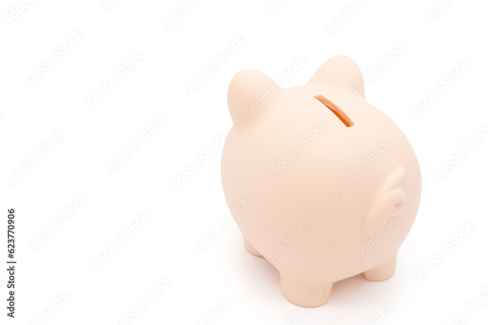 Piggy bank isolated on white background. Saving pig, small money box, planning home finances concept.