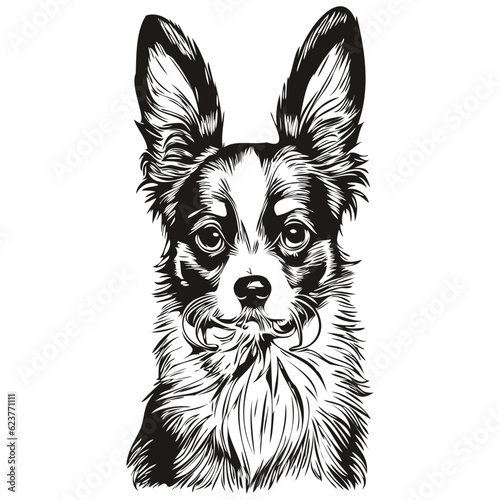 Papillon dog dog hand drawn logo drawing black and white line art pets illustration sketch drawing