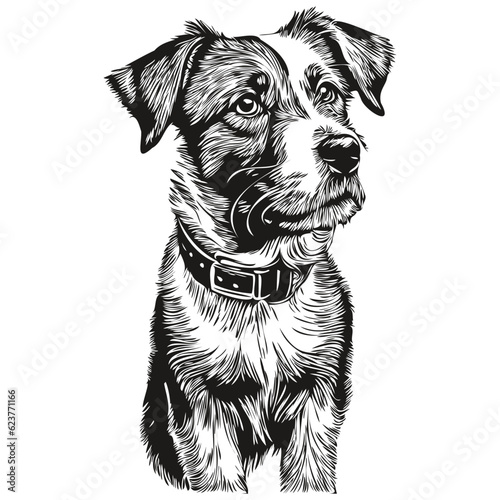 Russell Terrier dog pet silhouette, animal line illustration hand drawn black and white vector realistic breed pet
