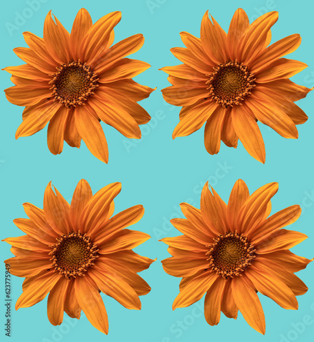 Fototapeta Naklejka Na Ścianę i Meble -  Seamless sunflower pattern 