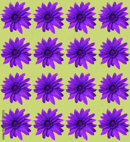 seamless floral pattern © Chris