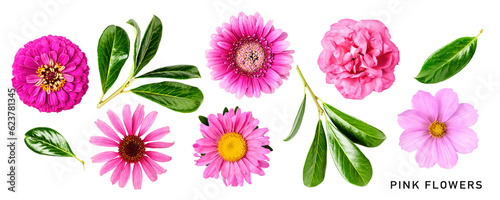 Summer pink flowers and leaves set isolated. PNG with transparent background. Flat lay. Without shadow.