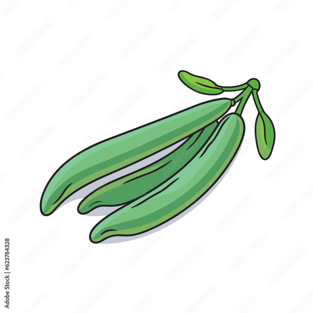Vector of Green beans icon on a flat white background Vector of Green beans icon on a flat white background