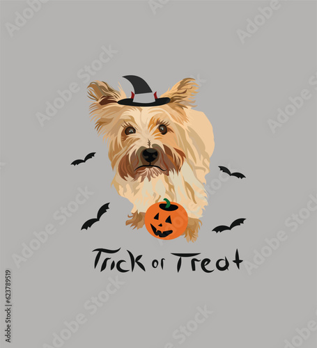 Dog Halloween greeting card with a sitting Cairn Terrier. Dog in a costume, pumpkin in a paw. Postcard for pet lovers. Pet character postcard art. Funny  dog mascot. Witch spooky pet. Trick or treat.