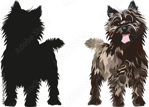 Standing Cairn Terrier dogs. Cute side view pet. Logo design, breed of working dog of medium to large size. Pet character postcard art. Funny dog mascot. Detailed small pet illustration, silhouette