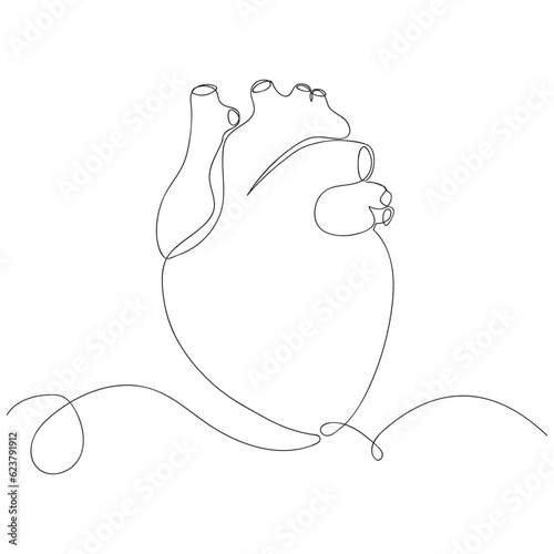 Single continuous line art anatomical human heart silhouette. vector illustration
