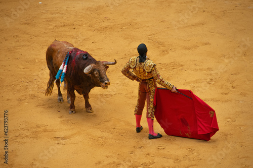 Bullfighter (Matador) with Bull in Arena