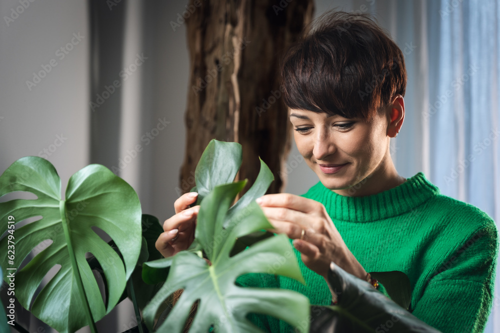 Obraz premium Woman taking care treatments on plants in the home jungle