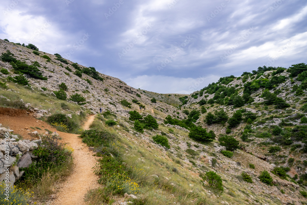 mountain road in the mountains