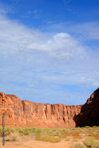 Colorado River Cliffs Arizona