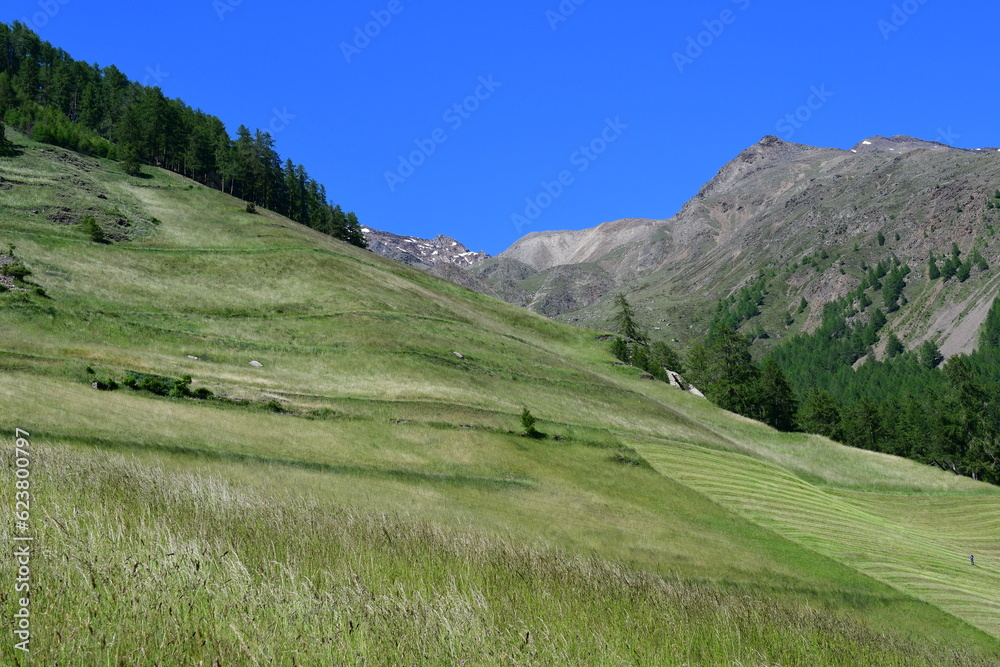 Schöne Landschaft mit Bergen im Schnalstal in Südtirol Schöne Landschaft mit Bergen im Schnalstal in Südtirol