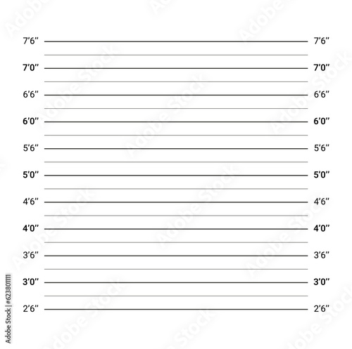 Lineup backdrop. Identification frame. Police wanted picture with lines in inches. Mugshot board. Mug shot background. Criminal measuring concept. Wall measurements template. Vector illustration.