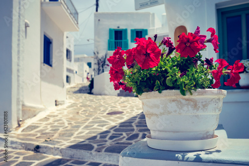 Picturesque narrow street with traditional whitewashed houses with focus on blooming geranium flower of Naousa town in famous tourist attraction Paros island, Greece