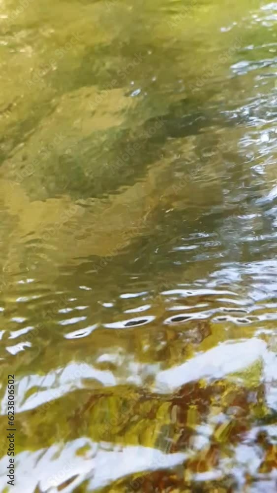 Spring water Spring water