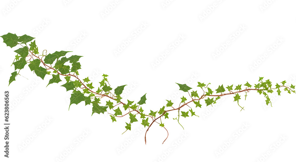 Bush grape or leaved wild vine ivy plant bush  on transparent background,generative ai
