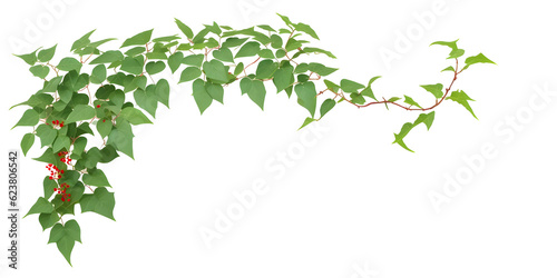 Bush grape or leaved wild vine ivy plant bush on transparent background generative ai