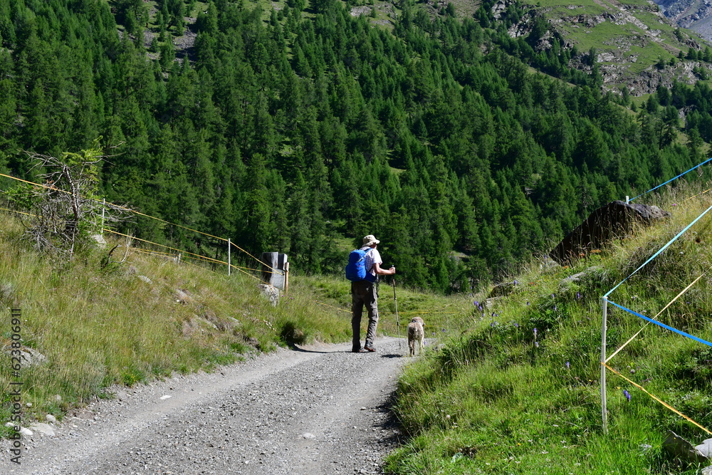 Mann und sein Lagotto Romagnolo Hund wandern im Pfossental in Südtirol 