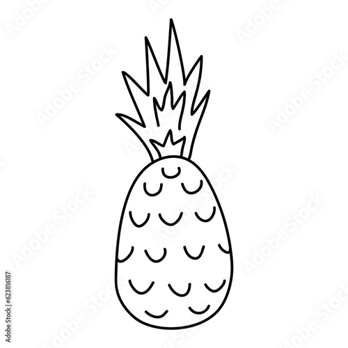 Pineapple line art, doodle, fruit, healthy food. Fabric design, wallpaper, packaging, textiles, paper, postcards, invitations