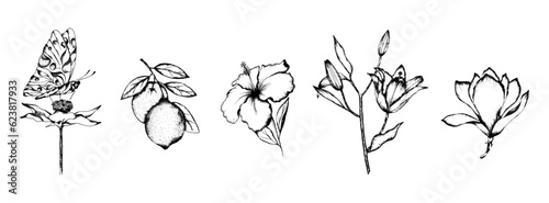 Engraved Hand Drawn Flowers and Plant on Stem with Leaf Vector Set