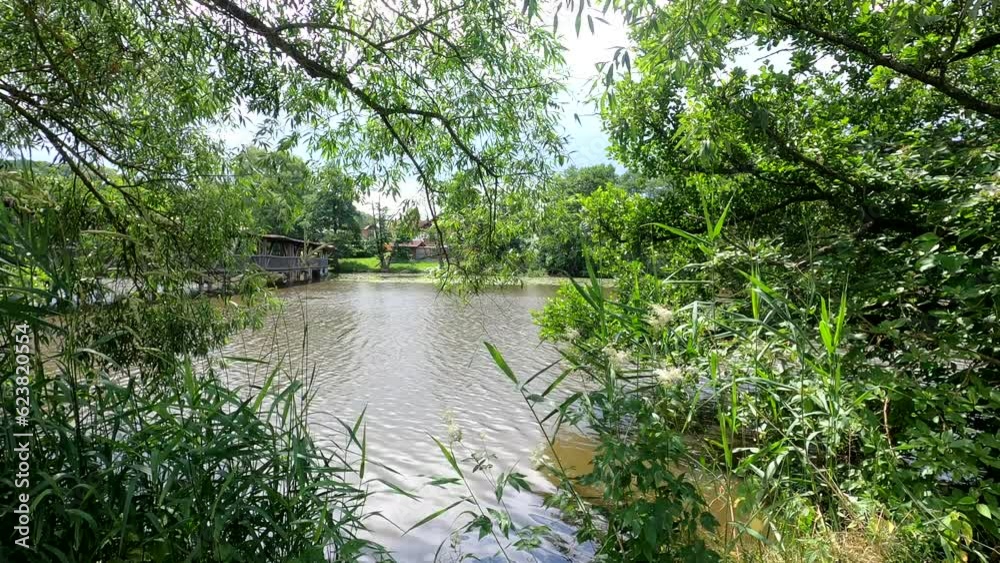 Lake in the park with water lilies and green trees and clouds on the background Lake in the park with water lilies and green trees and clouds on the background