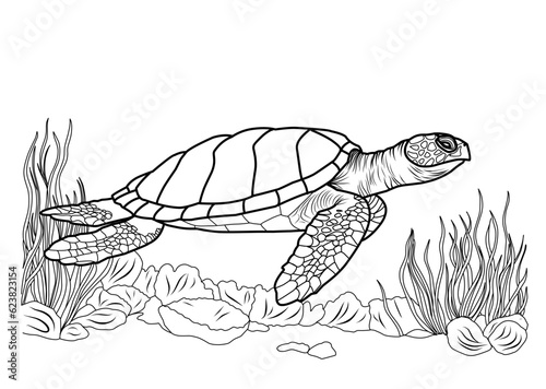 Big ocean turtle, cute striped fishes in the underwater world with algae, sand, bubbles on white isolated background. Good for kids and adults coloring book pages.