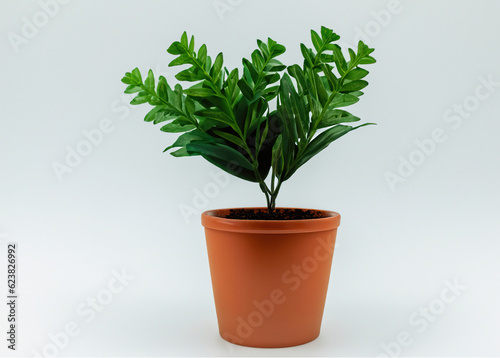 Freshness in Simplicity: Vibrant Leafy Plant in Pot on White Background   Nature's Serene Beauty © pkproject