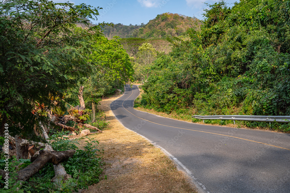 A road in the tropical forest