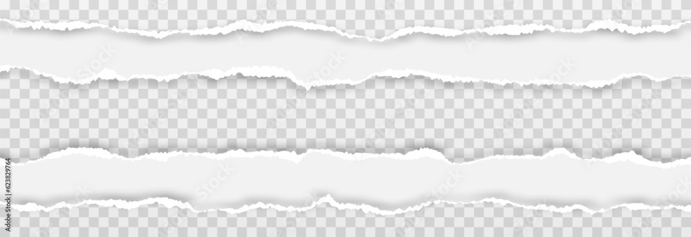 Vector torn paper. Torn paper edges png. Torn sheets of a notebook png. Torn sheets of the book or textbook png.