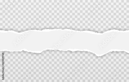 Vector torn paper. Torn paper edges png. Torn sheets of a notebook png. Torn sheets of the book or textbook png.