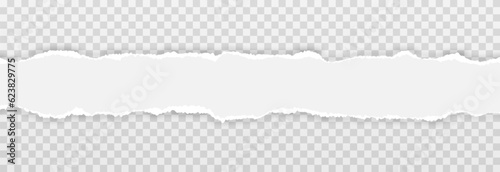 Vector torn paper. Torn paper edges png. Torn sheets of a notebook png. Torn sheets of the book or textbook png.