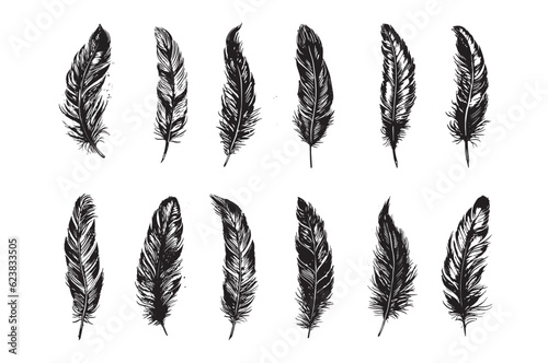 Feather Hand drawn on white background 