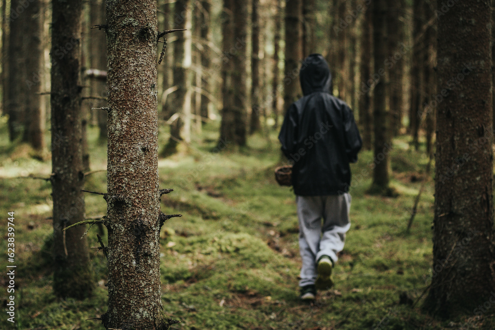 A boy with a wicker basket in his mouth. A child picks mushrooms alone in the forest. Soft selective focus A boy with a wicker basket in his mouth. A child picks mushrooms alone in the forest. Soft selective focus