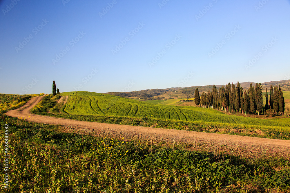 Panorama in Val d'Orcia a Siena. Set drl film Il Gladiatore. Alba con Paesaggio della campagna in Toscana