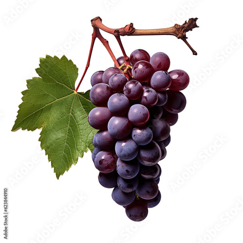 Ripe bunch of grapes on a branch with a leaf. No background