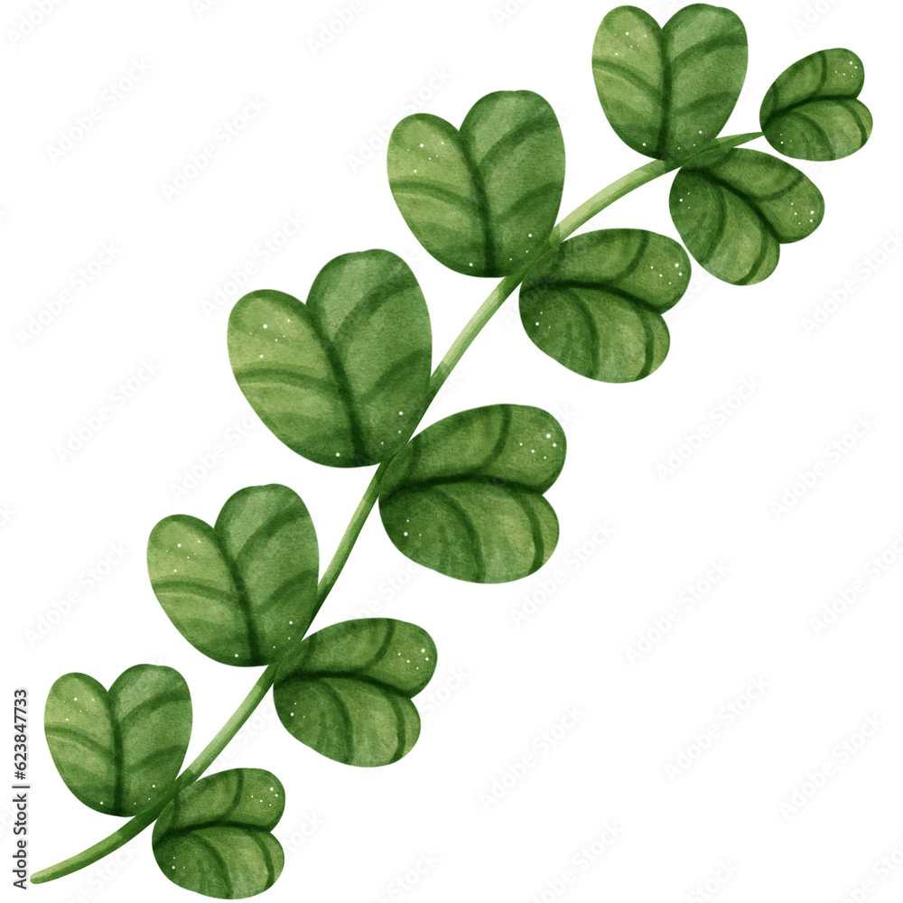 four leaf clover four leaf clover