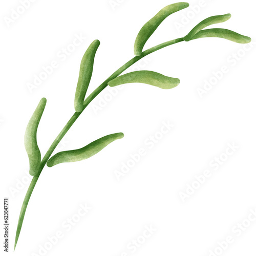 green leaf 