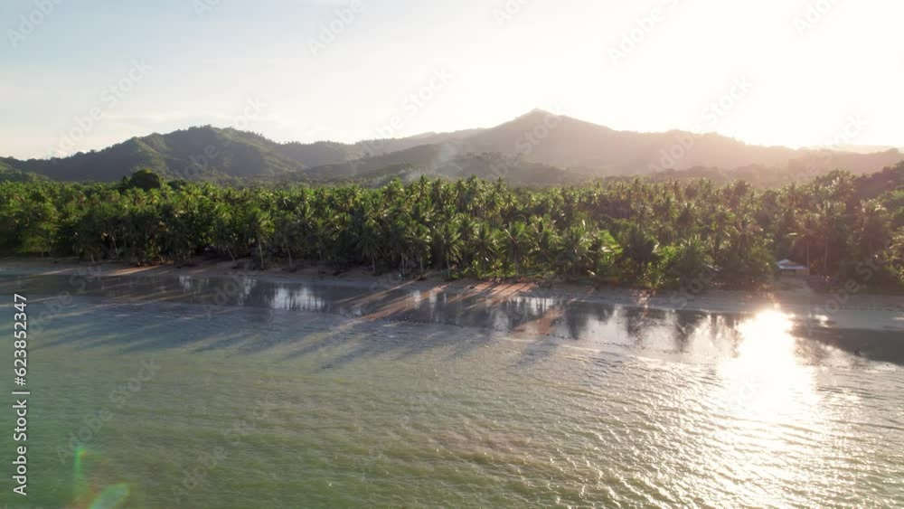 Les forêts primaires de cocotiers sur les iles paradisiaques des Philippines. Un environnement à préservé contre les changements climatiques disposant d'une faune et d'une flore exotique unique