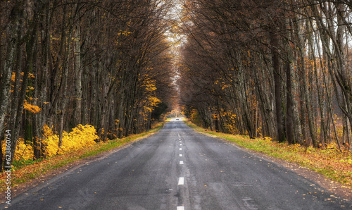 Beautiful highway with dividing line and autumnal trees on the both sides of it