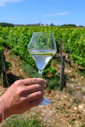 Glass of white wine from vineyards of Pouilly-Fume appelation, near Pouilly-sur-Loire, Burgundy, France