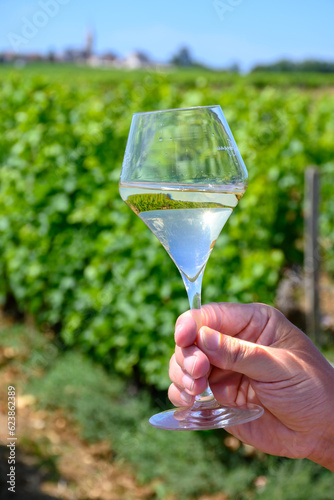 Glass of white wine from vineyards of Pouilly-Fume appelation, near Pouilly-sur-Loire, Burgundy, France